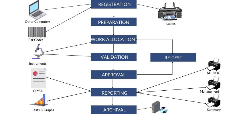 How Does a Lab Information Management Software Work