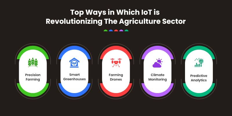 Top-Ways-in-Which-IoT-is-Revolutionizing-The-Agriculture-Sector