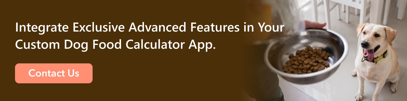 Integrate-Exclusive-Advanced-Features-in-Your-Custom-Dog-Food-Calculator-App.