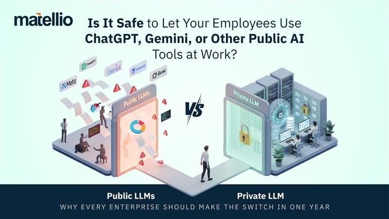 Public vs Private LLMS